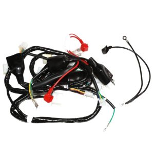 Wire Harness Assy., go. max; CSC go.