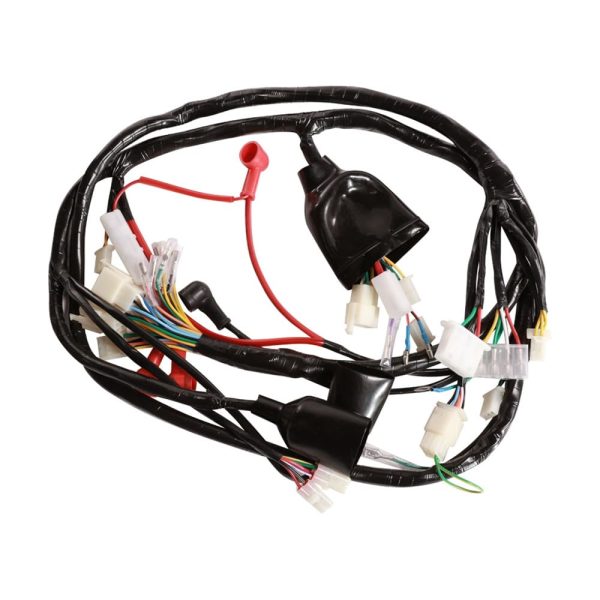 Main Wiring Harness; CSC Bella