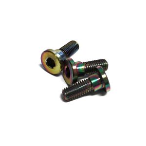 NCY Stainless Brake Disc Screws (Electroplated); compatible with  PCX