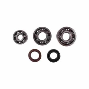 Engine Case Oil Seal And Bearing Kit; CSC go., QMB139 Scooters