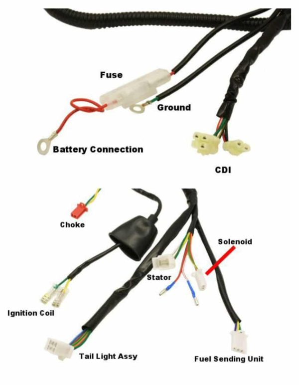 Universal Parts Wiring Harness - QMB139