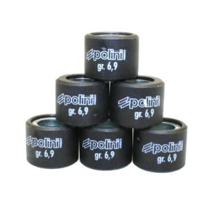 Polini Roller Weights compatible with  Ruckus