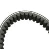 Polini Drive Belt compatible with  Ruckus 785-18-30