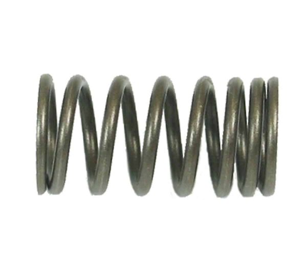 Universal Parts Inner Valve Spring