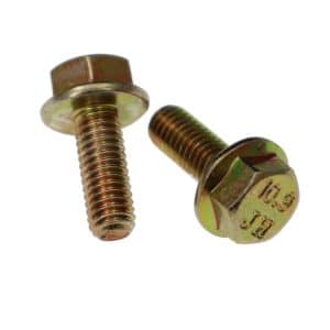 M6-1.00 x 16 Bolts - Set of 2