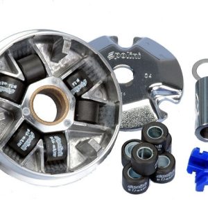 Polini Variator Kit for Genuine Buddy 50