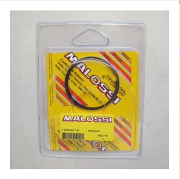 Malossi, Piston Rings (set)